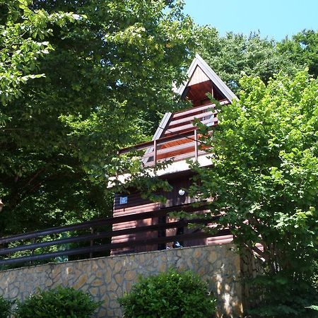 גורניי זבצאי Holiday Home Mreznica חדר תמונה