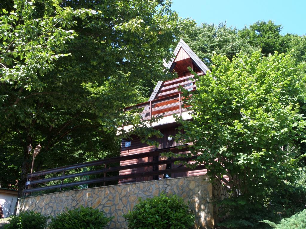 גורניי זבצאי Holiday Home Mreznica חדר תמונה