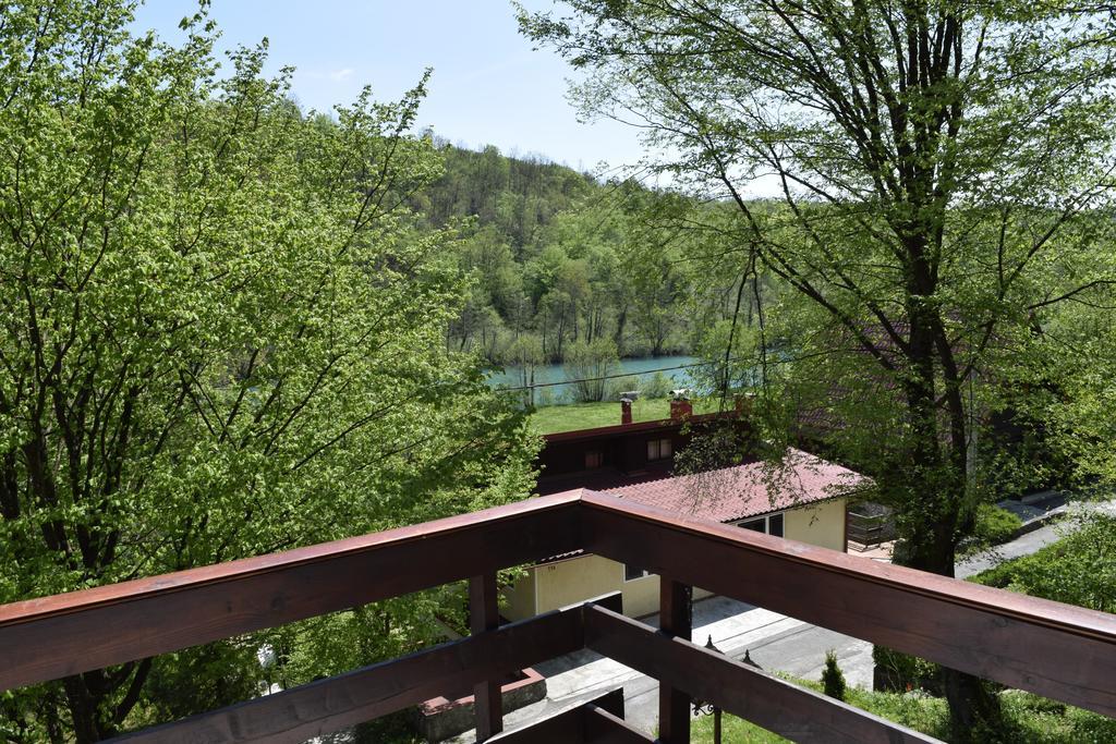 גורניי זבצאי Holiday Home Mreznica חדר תמונה